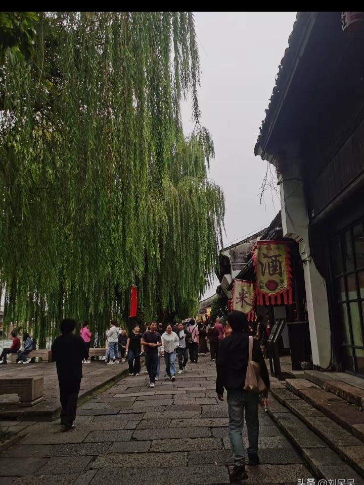 楼上的老太太昨天送进了养老院，今天一大早，养老院的人又把她送回来了。老太太在里面