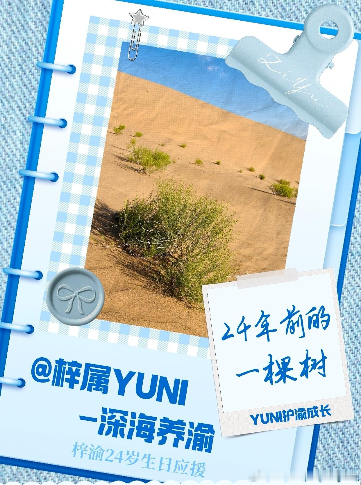 梓渝粉丝生日应援7600颗树梓渝生日在即，粉丝以梓渝之名在甘肃民勤种植7600