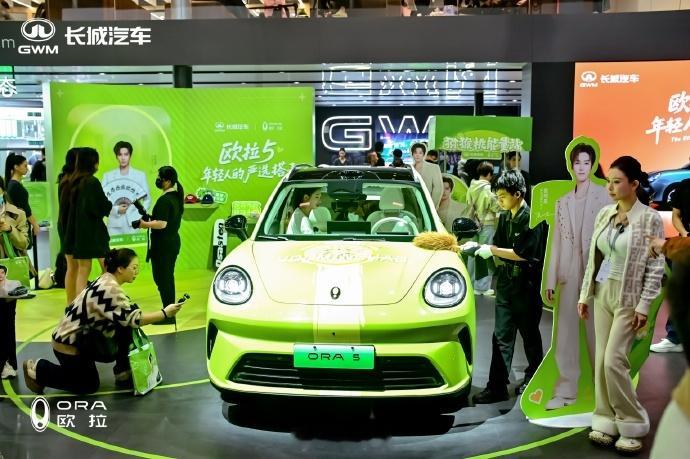 欧拉在A区4.1馆1D01展台重点展示了全新车型欧拉5，定位“年