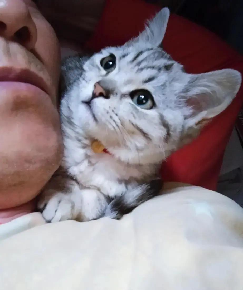 婆婆一句“你妈就是懒”，3岁娃直接牵着奶奶进卧室，俩人蹲床边叠被子，还回头冲妈妈