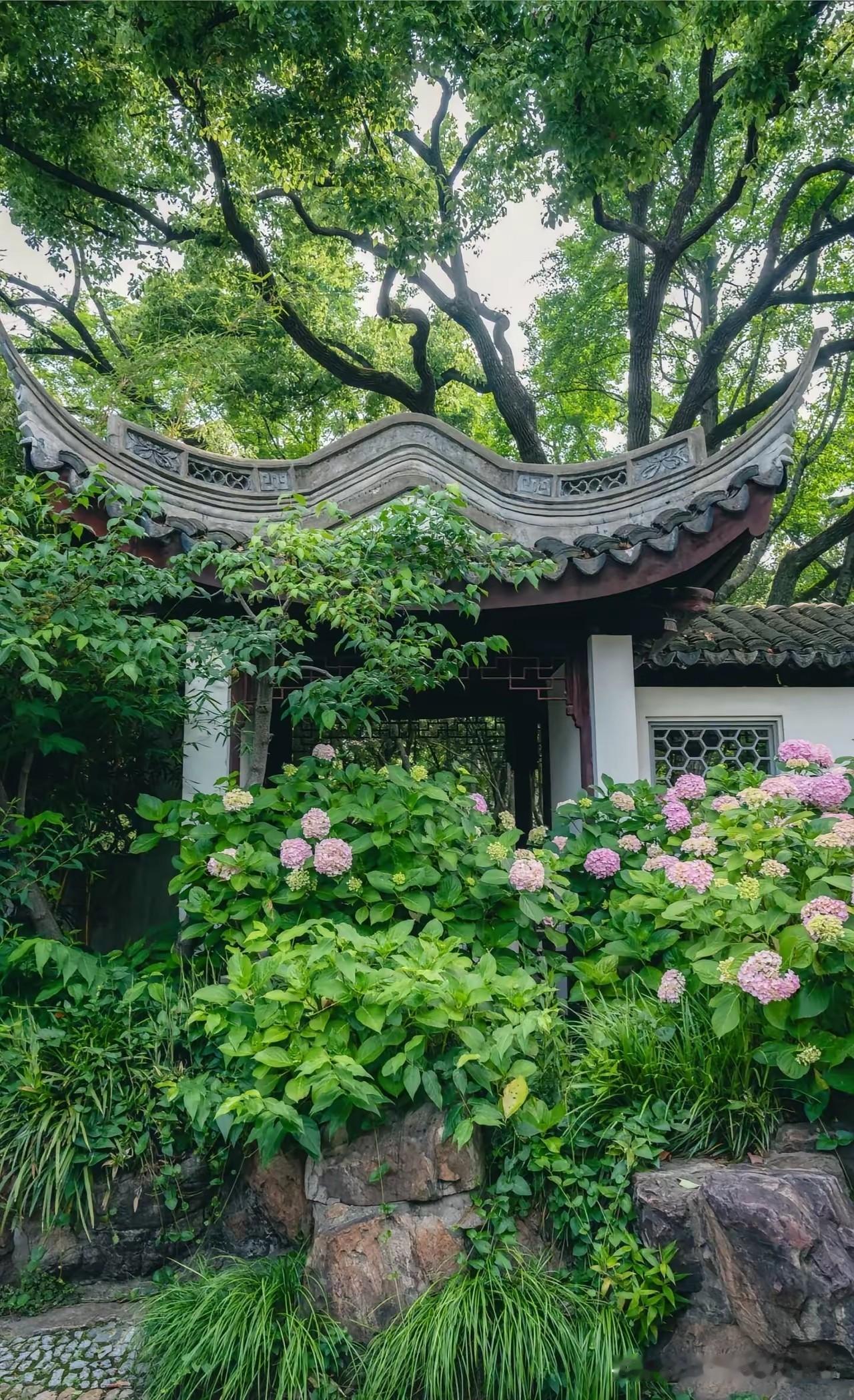 来上海旅游，别只盯着热门商圈！真正藏着江南古韵的宝藏园林，一定要来嘉定南翔的古猗