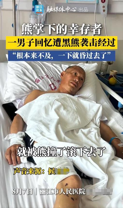 “这就是命啊！”近日，云南丽江，一男子上山采药，结果撞到了一头500斤的黑熊，男