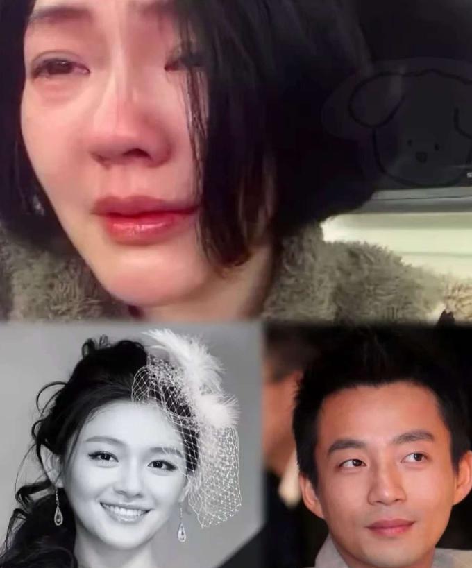 难怪小s突然回娘家原来是汪某菲出手了！这一下，可把s家搅得风云骤起大家都好