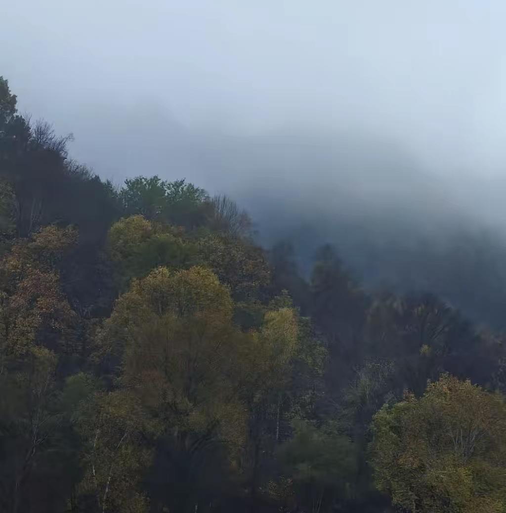 很通透的一段话:“不是你死的时候钱没花完,也不是钱花完了还没死,这