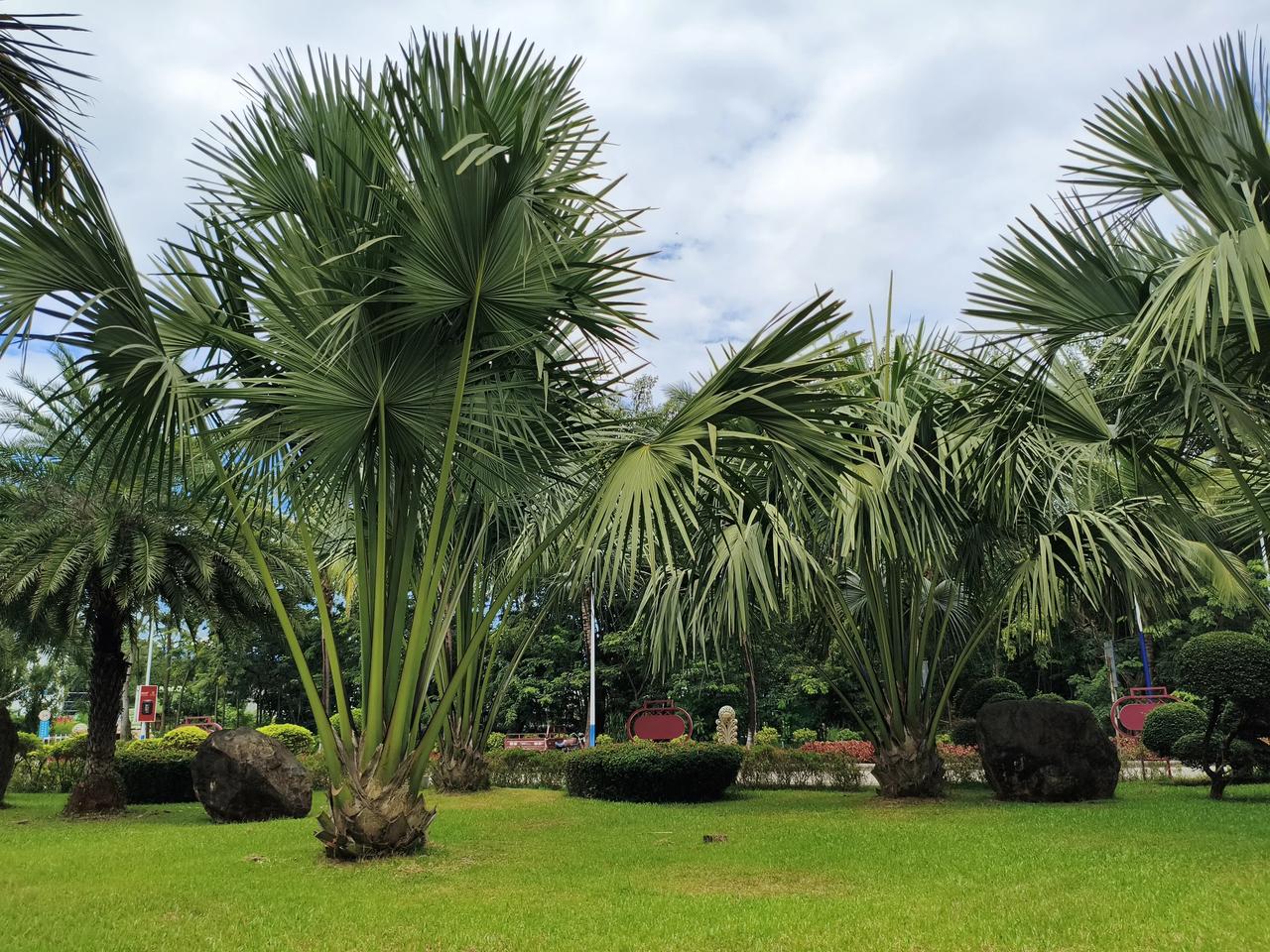 什么最重要，当然是身体最重要，身体垮了，什么都谈不上。我今年六十二岁，退休两