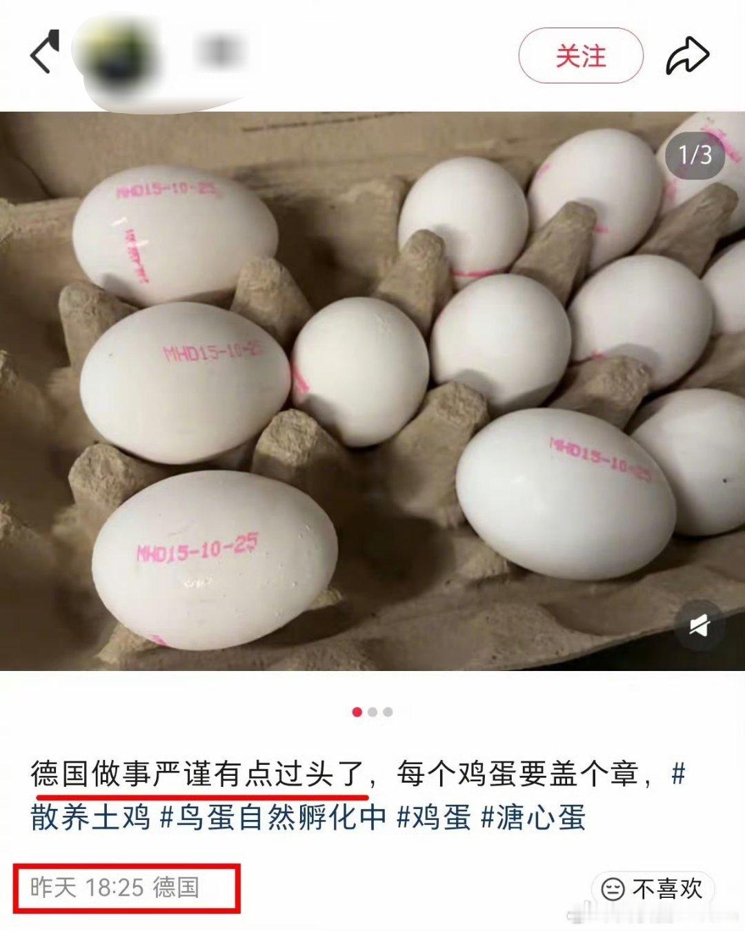 “德国做事很严谨，每个鸡蛋都要盖章”​​​