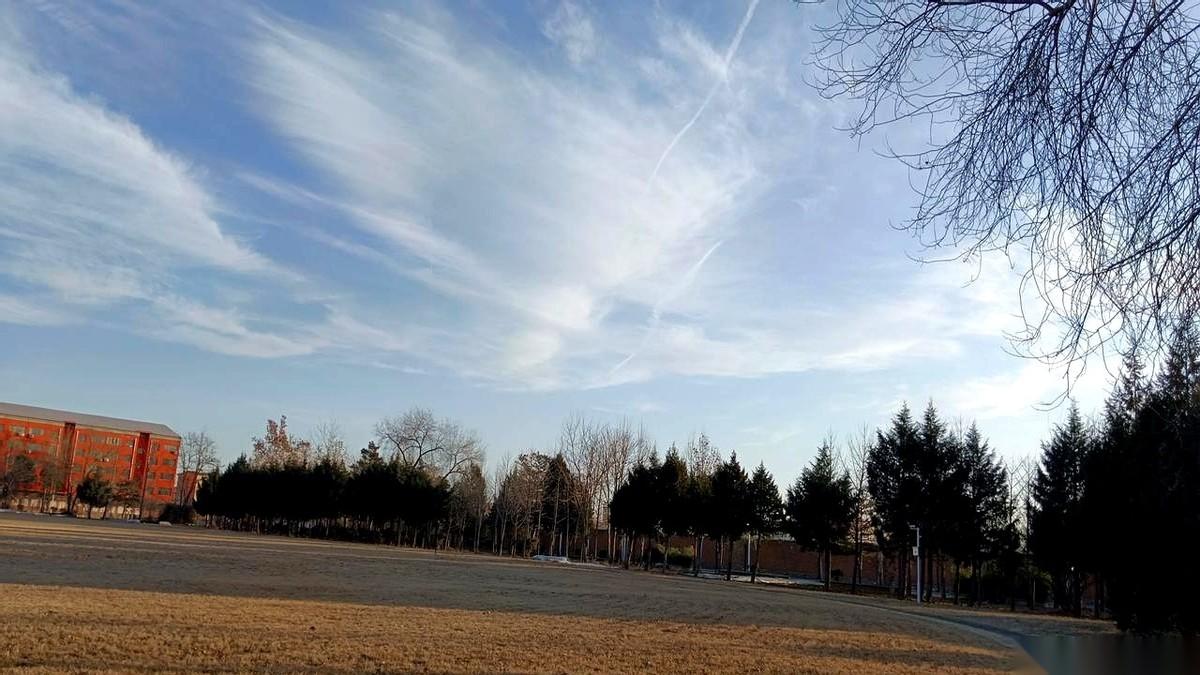 弟弟走了。照顾了他整整9年，每月拿3000块。丧事一办完，姐姐拎着一个旧包袱，