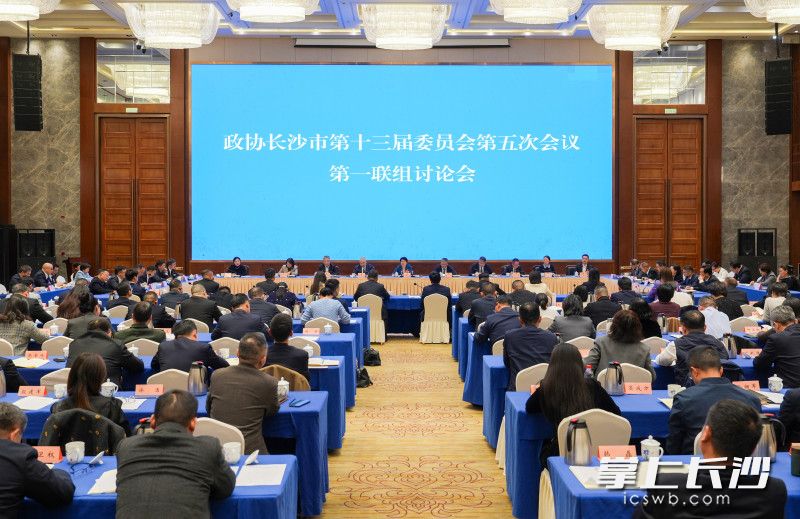 吴桂英参加市政协十三届五次会议第一联组讨论