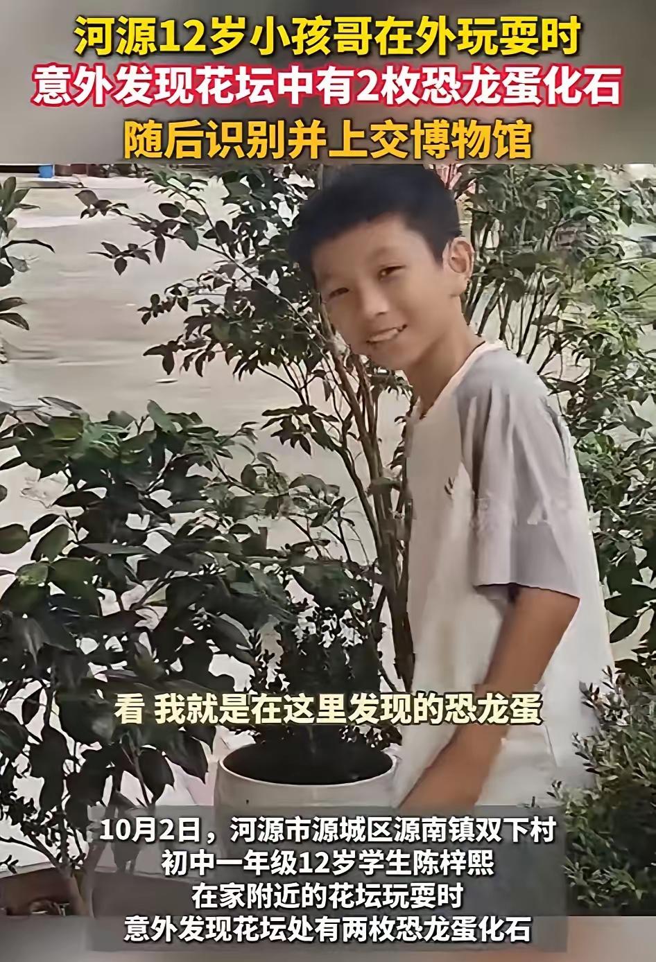12岁男孩花坛边随手捡了两块“石头”，AI一扫描，结果让他当场愣住！这事儿发