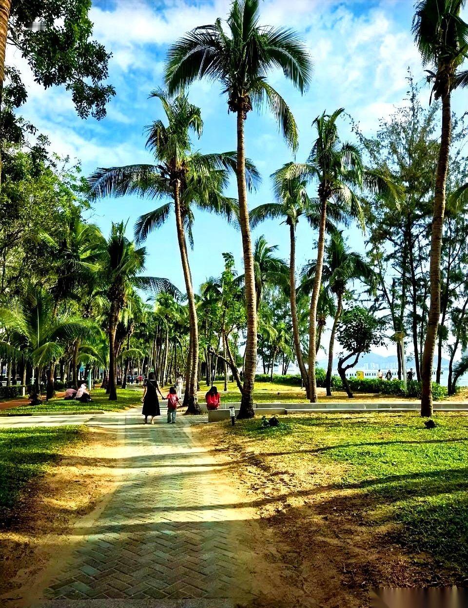 “延迟什么？我延迟快乐吗？”就这一句话，直接给我干沉默了，半天没缓过神。是一