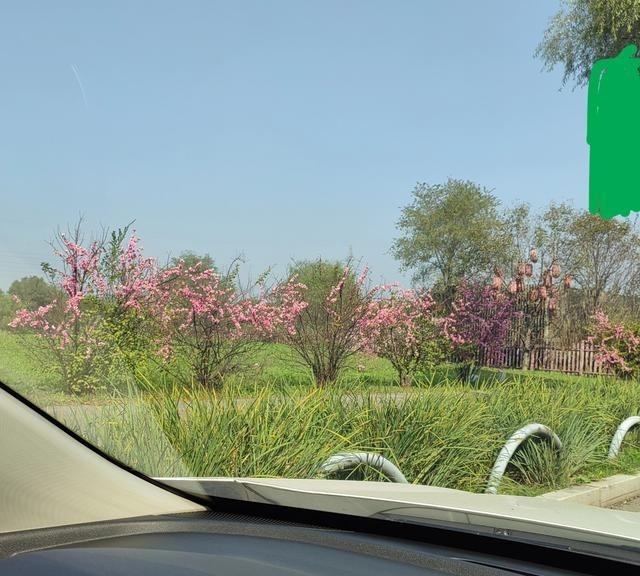 孩子结婚后,我不会和亲家来往的。这种相处模式其实挺省心的。你想啊,两家大人非要