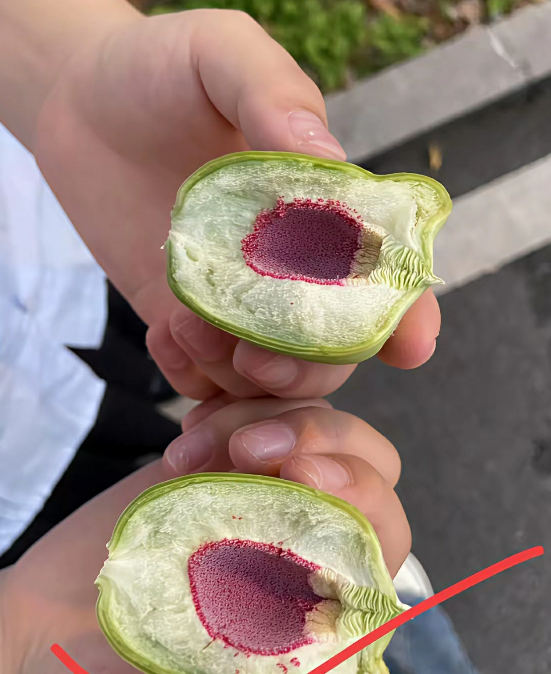 这到底是啥植物呀？有没有大神给解解疑惑，有知道的吗？
