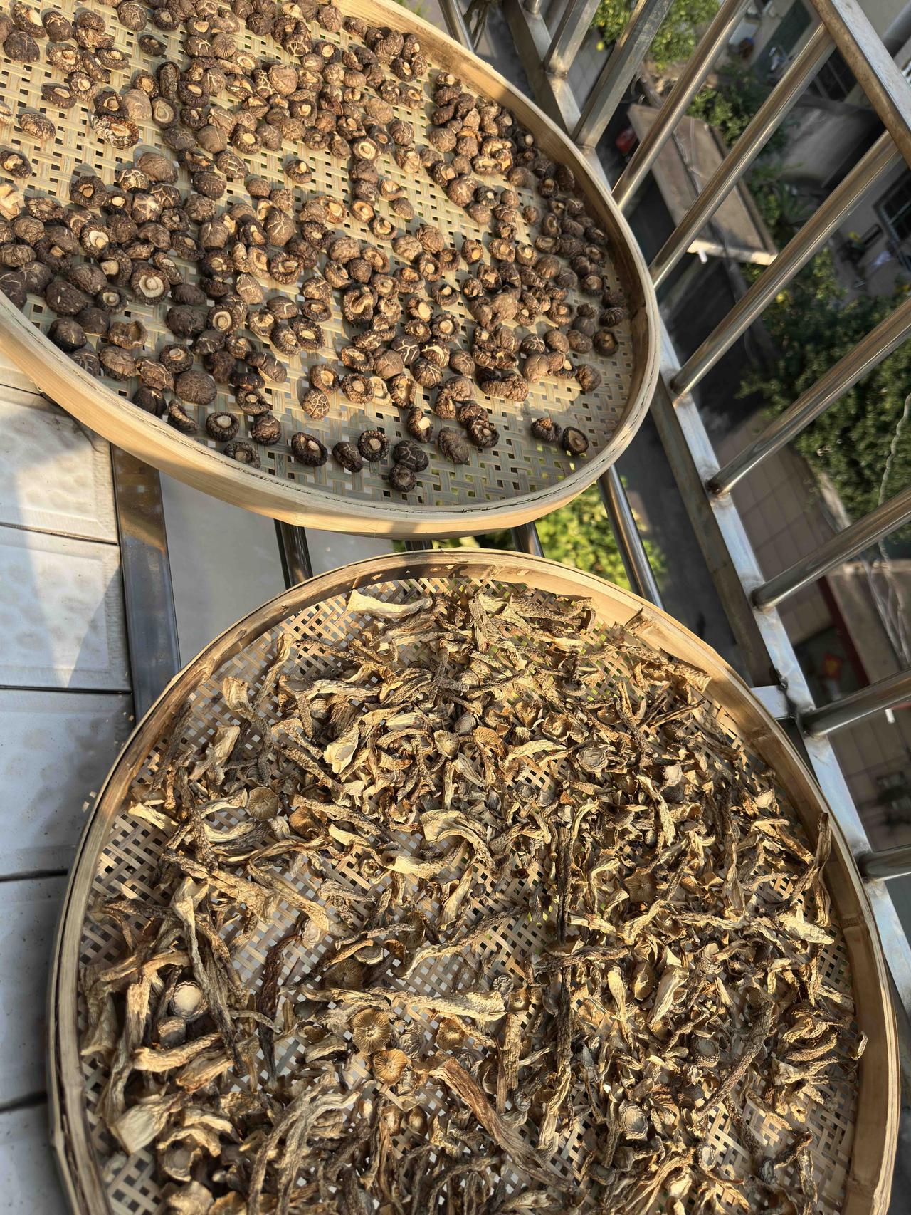 不知不觉，家里南北两个朝向的阳台所享受到的阳光有了变化。这朝南卧室的阳台，夏