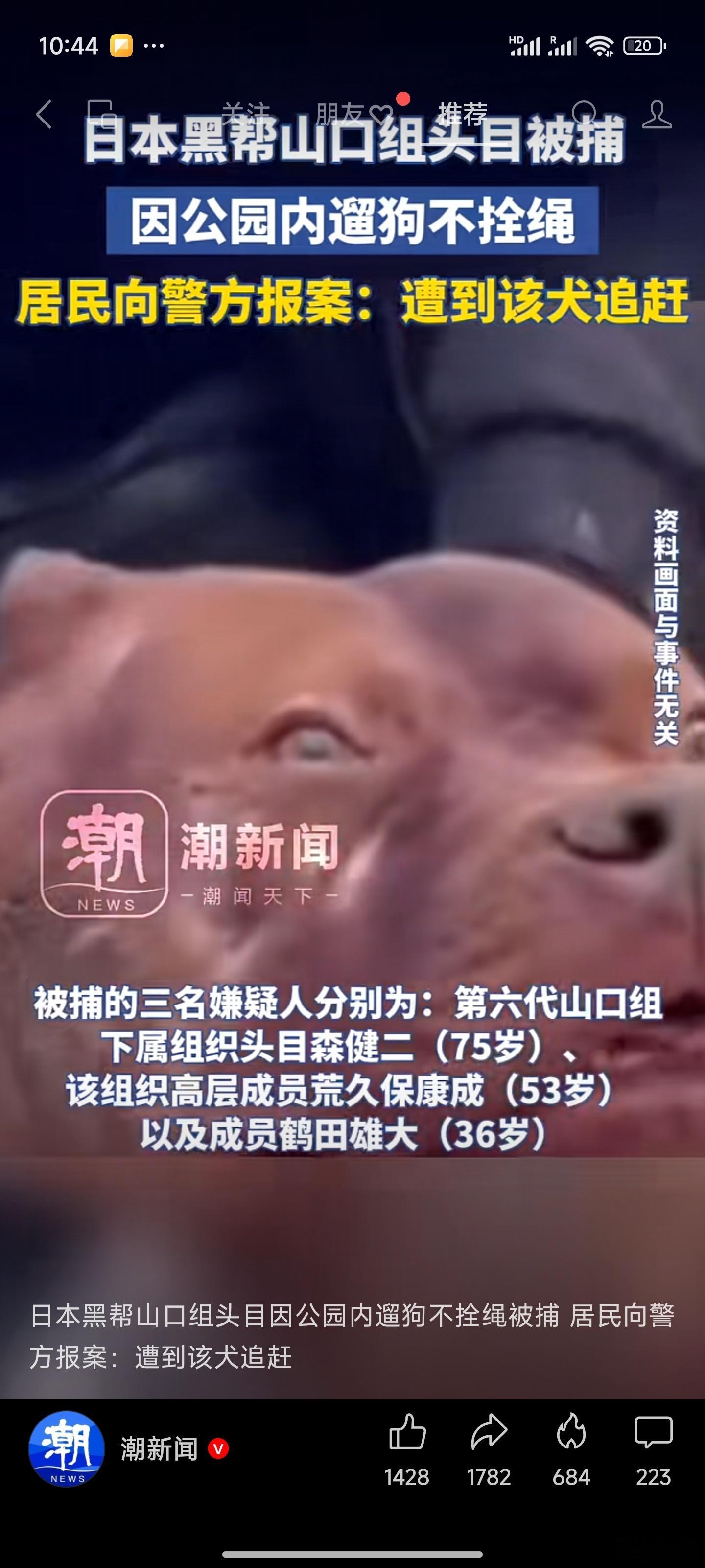 笑死我了[捂脸哭][捂脸哭][捂脸哭][捂脸哭]黑社会啊！这是黑社会啊！不牵绳遛狗照样抓