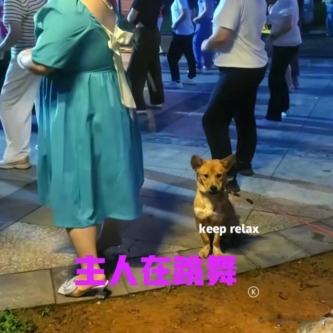 晚上的广场上热闹非凡，在动听的音乐声中，人们尽情地挑着广场舞。在舞动的人群中，有