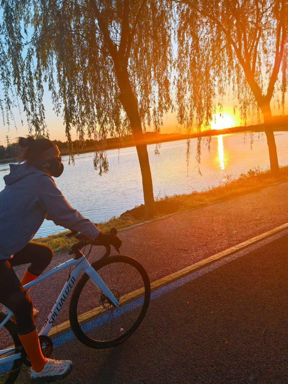 辛芷蕾骑车又摔了四肢全费辛芷蕾骑车摔出爱心伤口💔5.9发文自嘲“又摔啦，四肢全