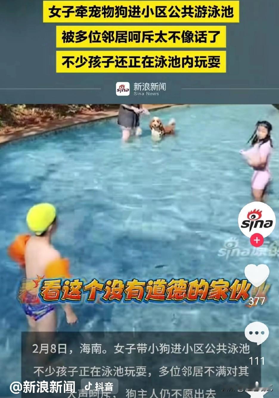 这次可算长记性了，三亚那个在泳池给狗搓澡的女租户，终于收到了2万多的赔偿单。