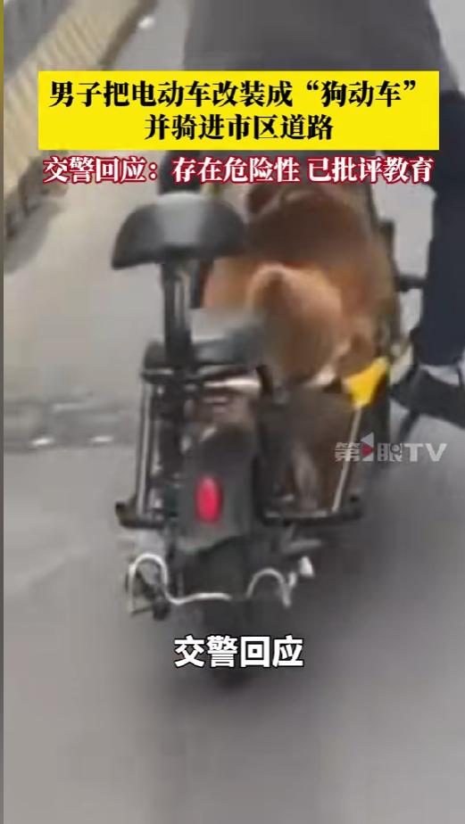 “活久见！”3月16日，江苏常州，一男子把自己的电动车进行了改造，中间放电池的地
