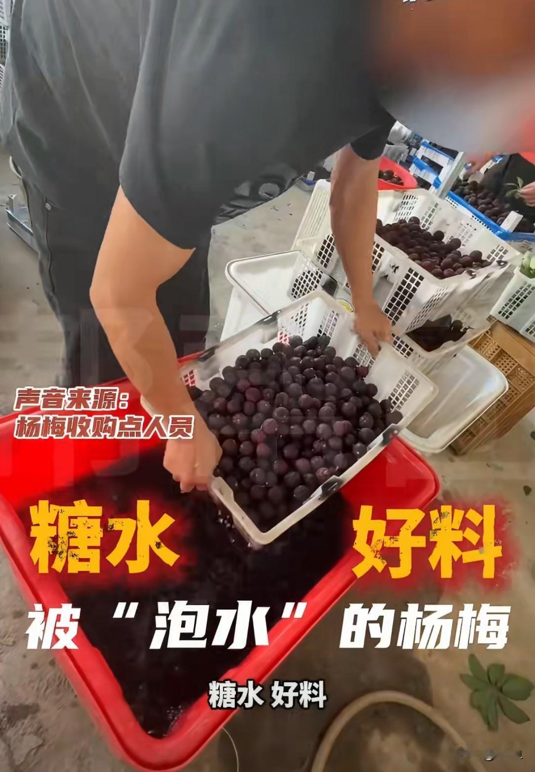 这回漳州杨梅算是彻底“出圈”了，估计不少人看到新闻心里都直打鼓。现在评论区简直炸