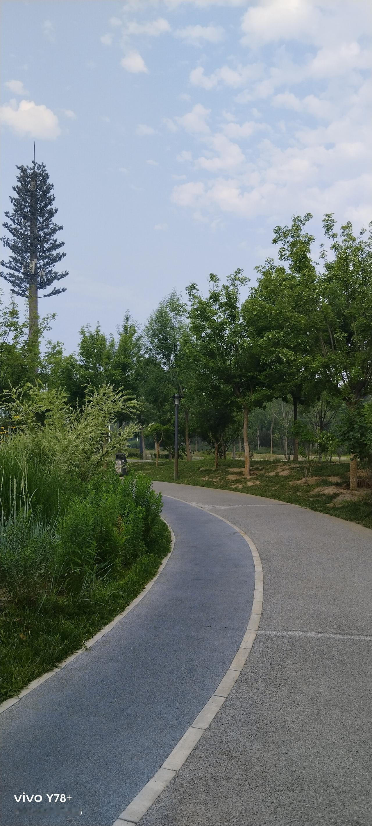 我发现，只要说养老金高，几乎都是指向老师。全网都认为，老师工资多么多么的高，工