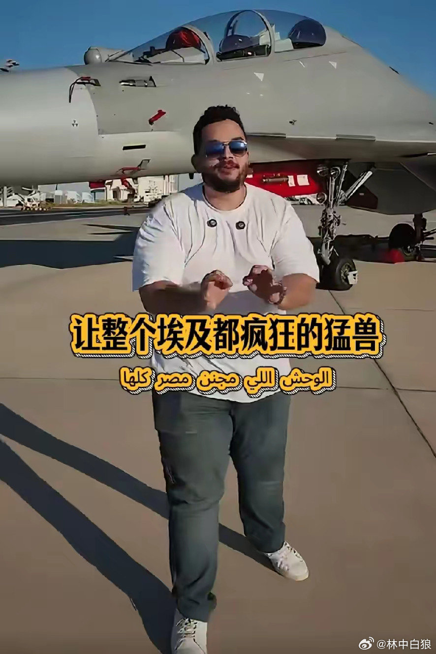 歼16让埃及军迷疯狂，可惜该机型暂不外销。​
