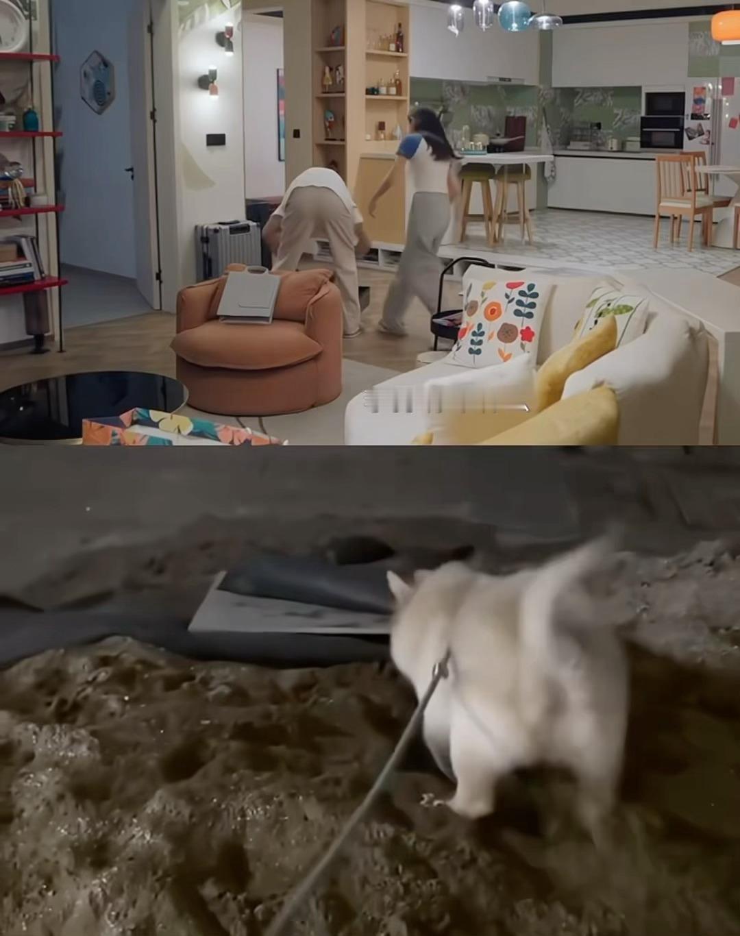 狙击蝴蝶第一个想到李雾狗塑的简直是甜菜