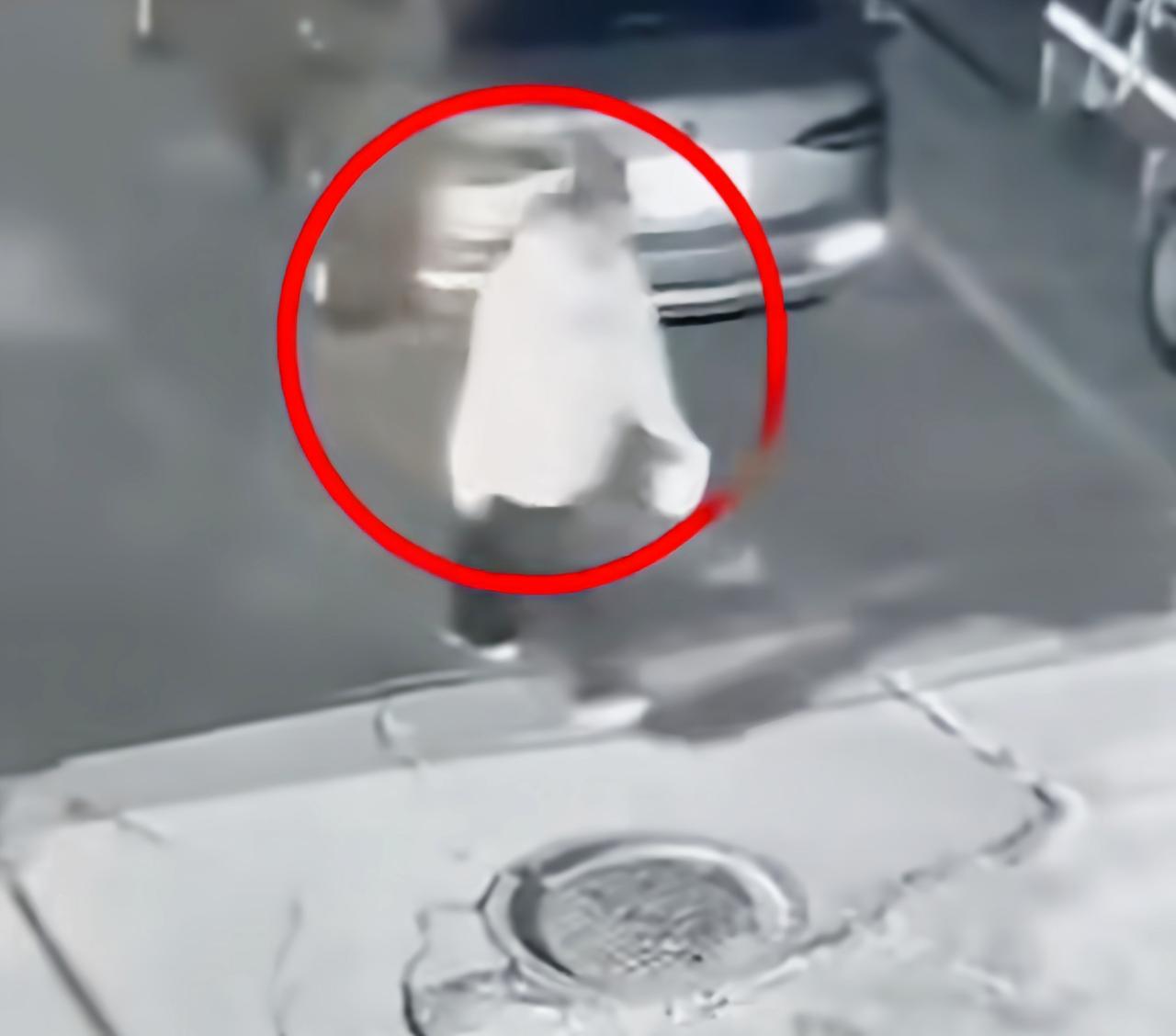 青海西宁，17岁女生凌晨外出复印试卷失联超3天，太反常了！女生是重点班的乖乖女，