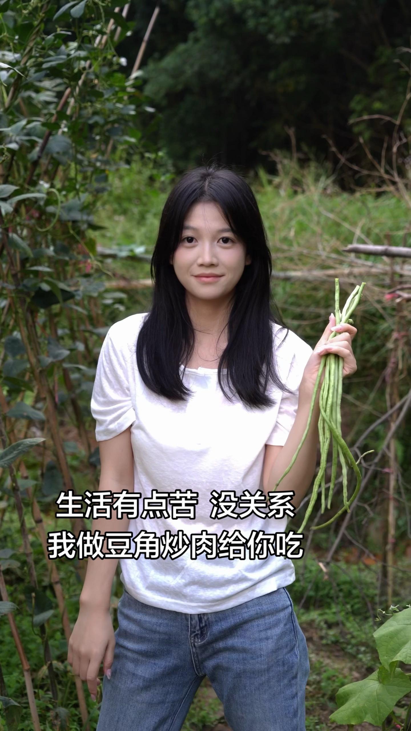 农村 乡村 我的农村生活 我的乡村生活 田园摘豆角