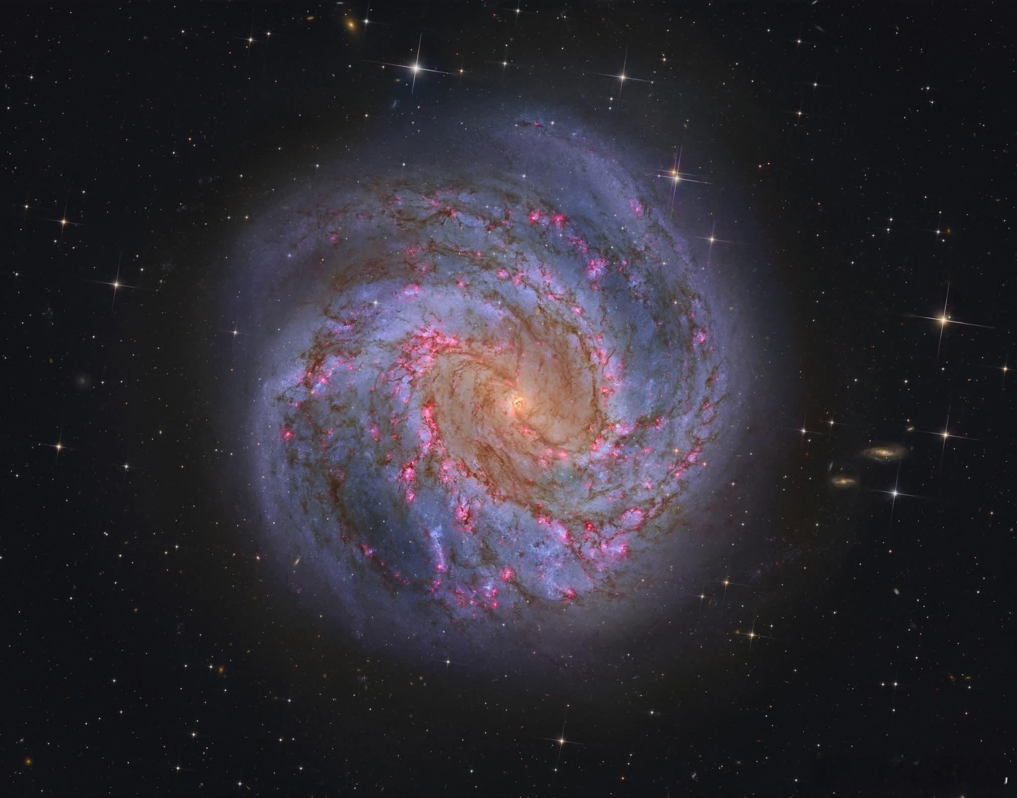 M83（南风车星系）是一个处于“超速进化”状态的星系标本。它不仅在结构上完美呈现