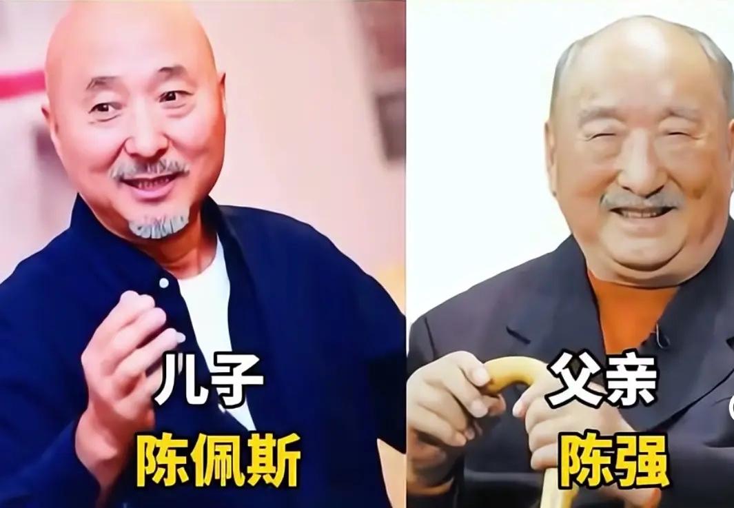 论血脉基因的强大性怪不得是亲生的这长相这外貌妥妥的亲父子不得不说，这两个人