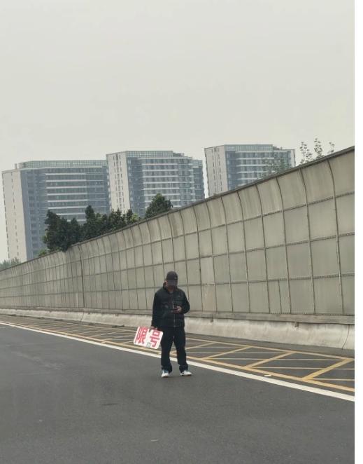 成都高速口举“限号”牌的人，到底图啥？导航都普及的年代，成都高速入口总有人