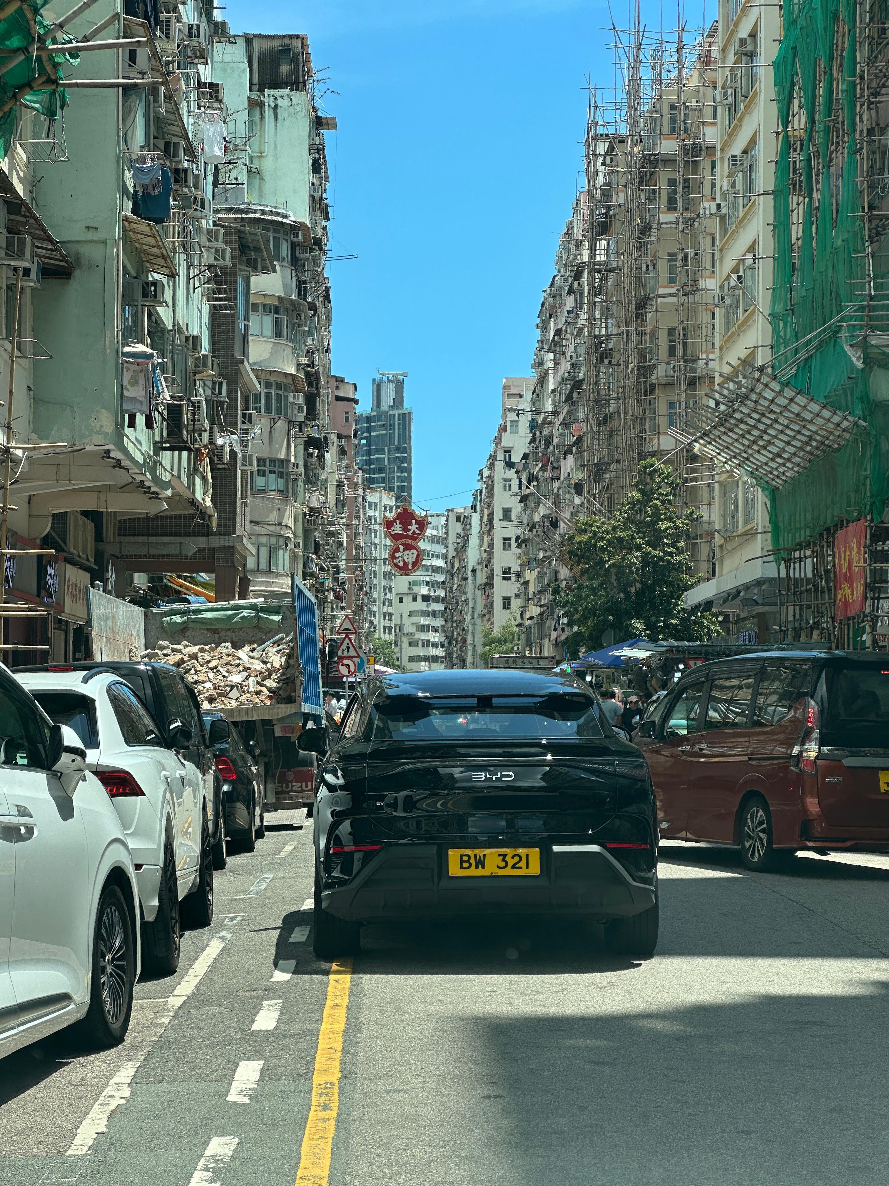 黑色海狮挺帅啊[爱心]​​​