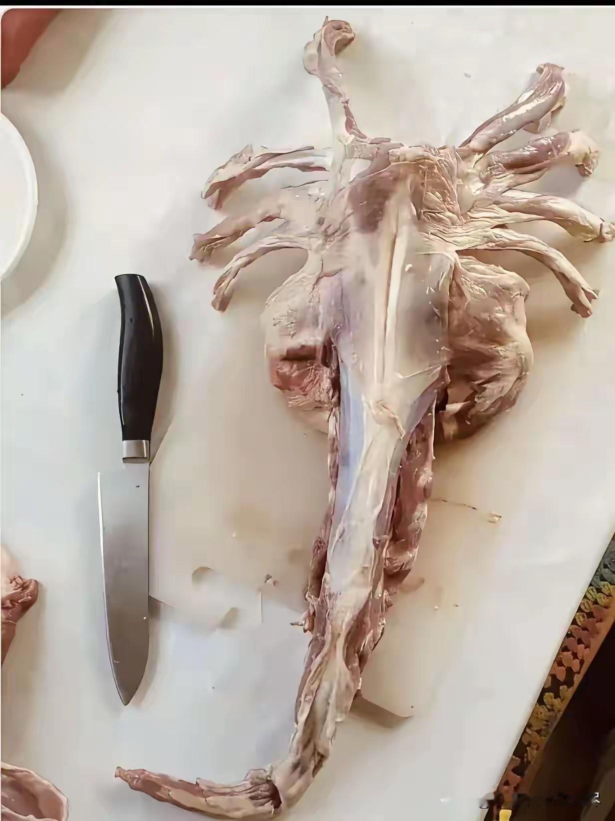 真是涨知识了！以前每次去饭店吃羊蝎子的时候，面对一锅的羊骨头，我心里都特别的郁闷