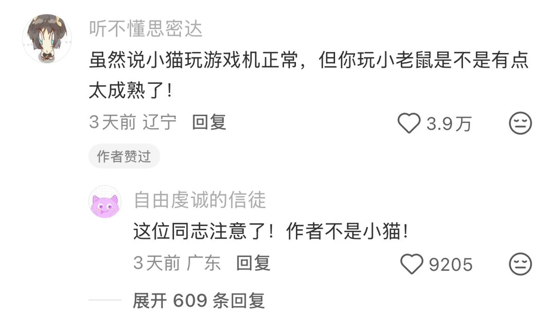 睡前小猫和我都把要玩的东西放上了床