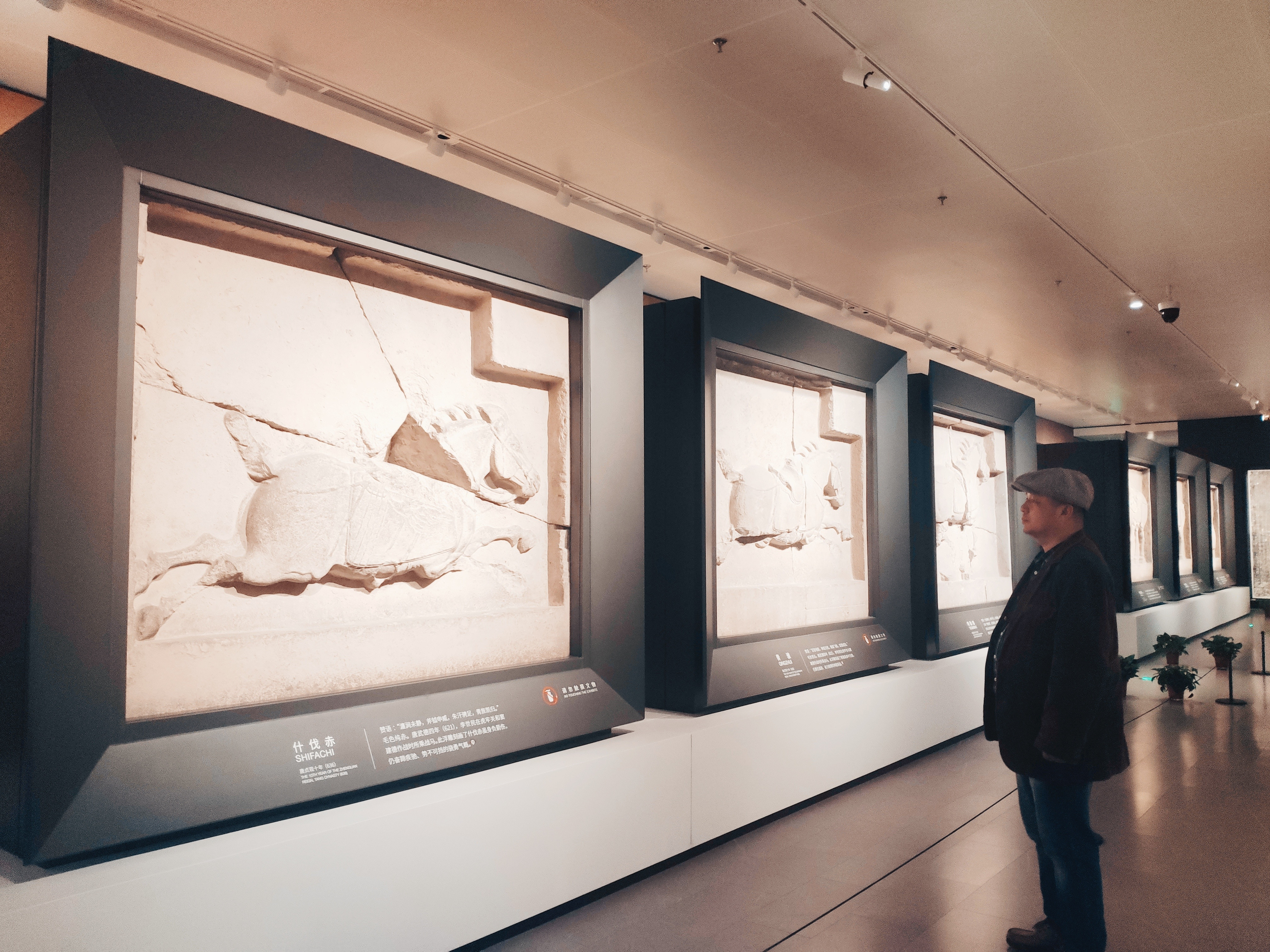 瞻仰唐太宗昭陵六骏石刻，原立于陕西省咸阳市礼泉县唐太宗昭陵北司马门内，共六石，其