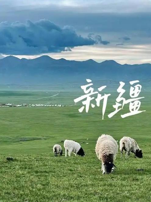 是浪漫邂逅还是精心设计的圈套？2025年5月，新疆的广袤风光吸引了一位男