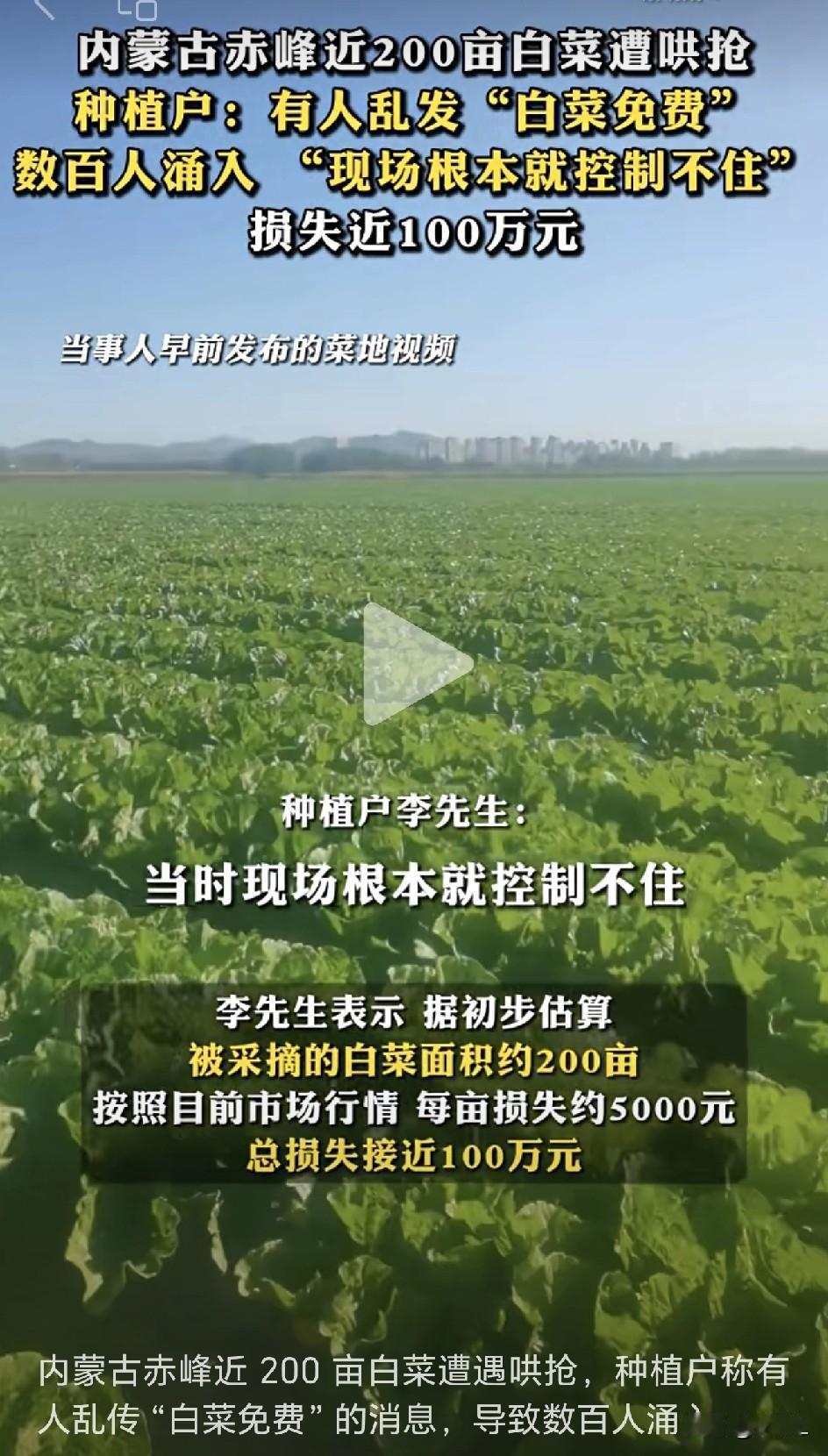 从“砍两棵吃”到“抢两百亩”：一则误传，照出多少人性的贪婪！11月初，内蒙古