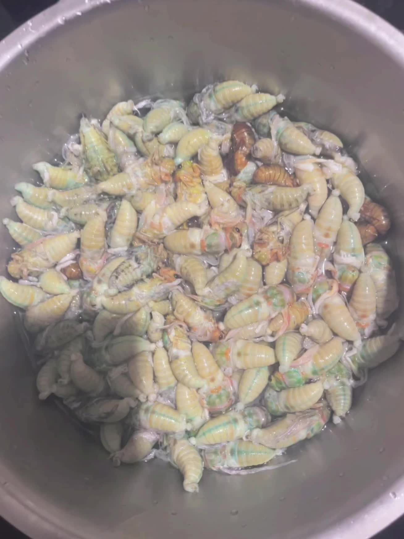 有没有人还认识这个，小时候的味道