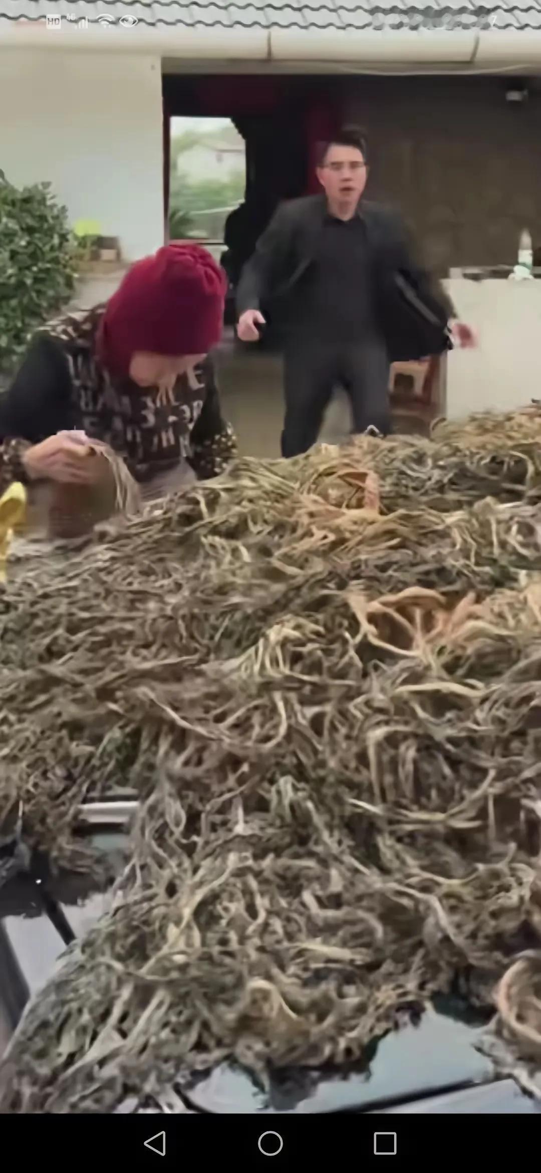 最近网友发的“奶奶用孙子的豪车劳斯莱斯晾干菜”火了。96岁的奶奶真的糊涂了吗，其