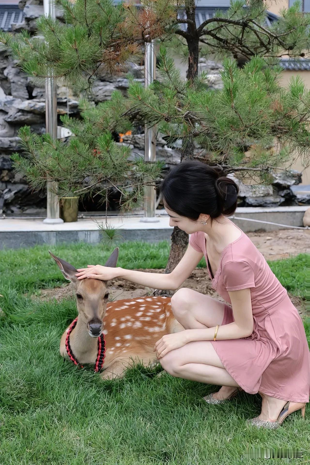 喜欢这样悠闲的生活