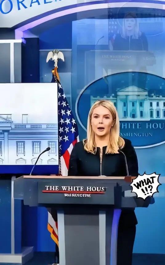 美国被中国再度拒绝了“中国不想跟我们合作了，中国想要实现半导体独立性。”这是