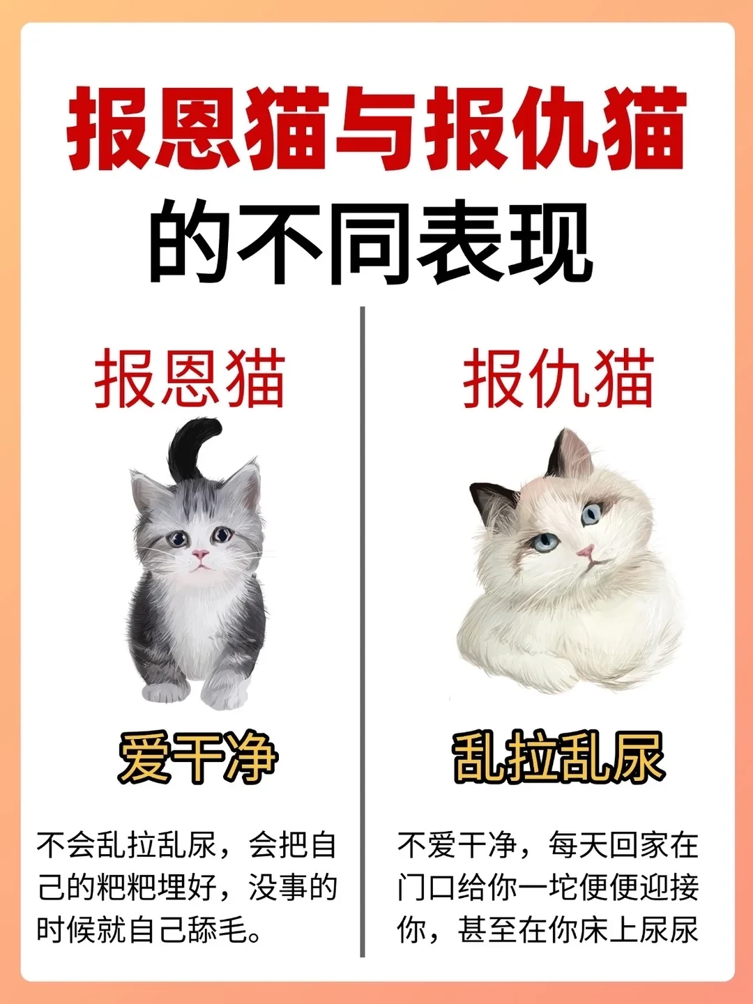 报恩猫与报仇猫的不同表现