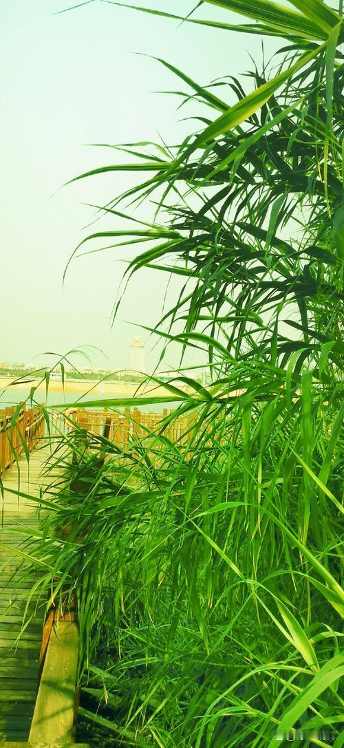 春天特别困，这其实是一个普遍的现象，背后有多方面的原因。首先，春天昼夜温差大