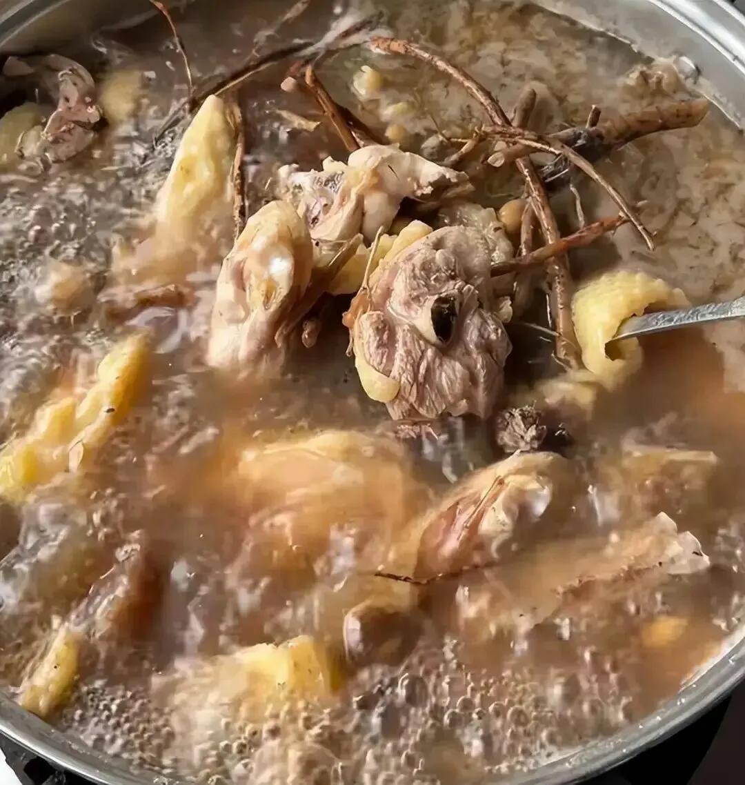 全网最不想火的鸡煲！老中医转行做餐饮，公开秘方：别人抄不走广东顺德这家鸡煲