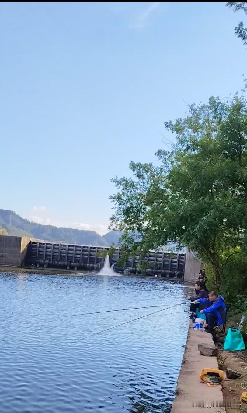 胃癌术后三年，有什么能增加营养吸收的方式方法？昨天洗澡冲凉，一看