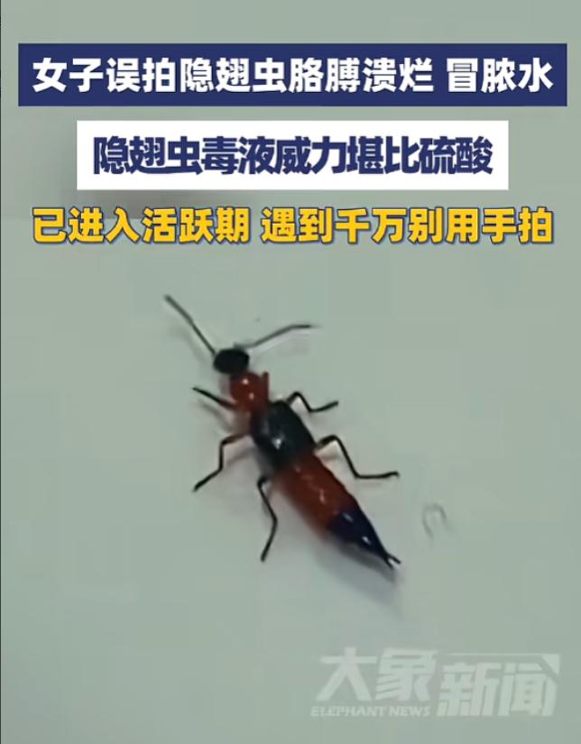 "悲剧还是发生了！"5月29日报道，浙江义乌，一女子见窗边有小虫，随手就给拍死了