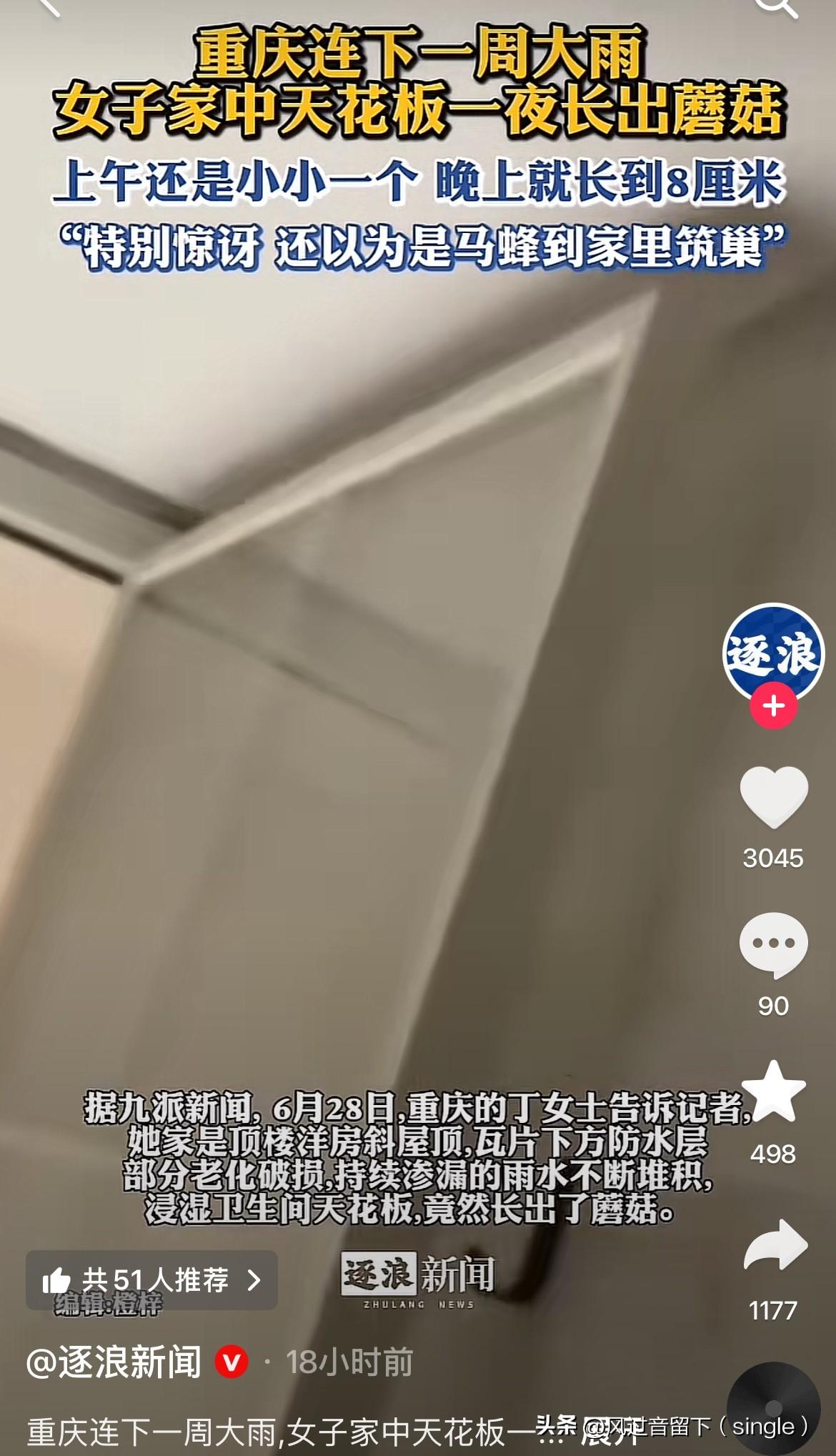 天花板上长蘑菇，这是啥情况啊！6月28日，重庆一女子告诉记者她家天花板上长了一