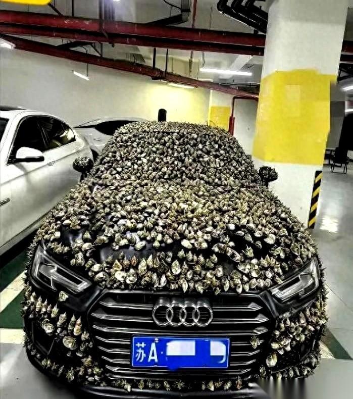 车位被一辆外地牌照的车霸占了10天，电话不接，物业摊手。车主刘先生没砸车，也没