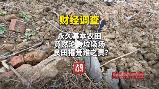 最近央视曝光了湖南湘潭市雨湖区长城乡的黑家湾社区，国家划定的永久基本农田，TMM
