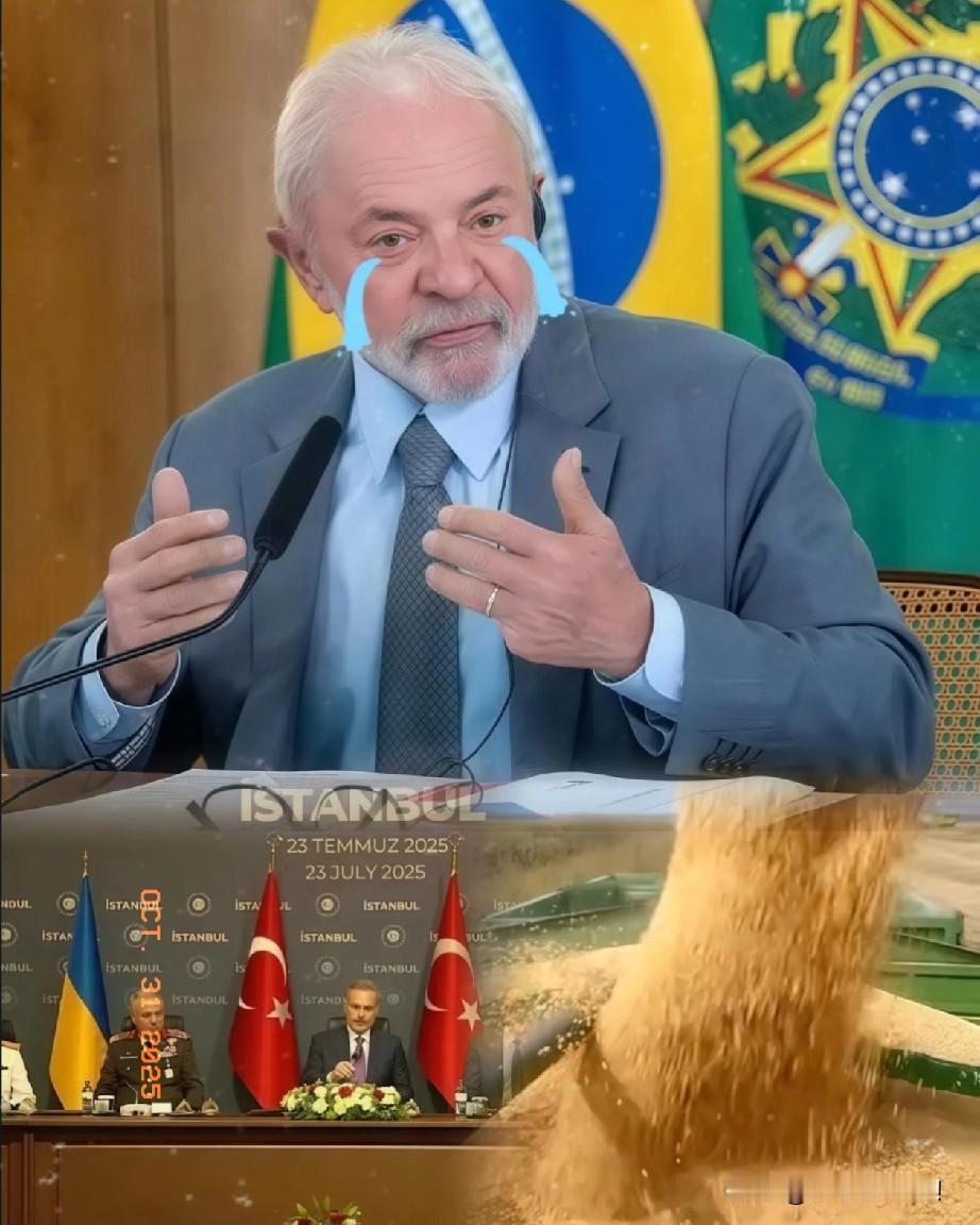 巴西之前有多嚣张现在就有多慌!中国突然宣布停购800万吨巴西大豆,不少网